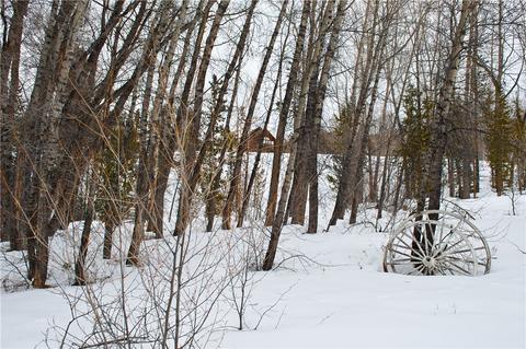141 Riley Rd, Silverthorne, CO 80498 photo 24