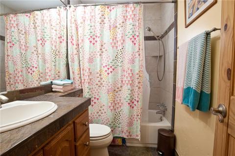 141 Riley Rd, Silverthorne, CO 80498 photo 9