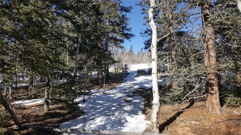 47 Pathfinder Way, Como, CO 80432 photo 2