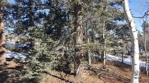 47 Pathfinder Way, Como, CO 80432 photo 7