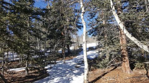 47 Pathfinder Way, Como, CO 80432 photo 6