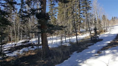 47 Pathfinder Way, Como, CO 80432 photo 11