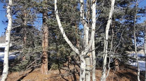 47 Pathfinder Way, Como, CO 80432 photo 4