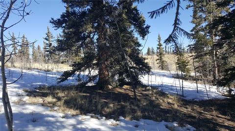 47 Pathfinder Way, Como, CO 80432 photo 9