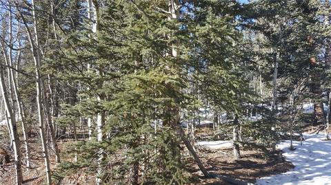 47 Pathfinder Way, Como, CO 80432 photo 3