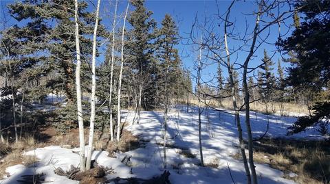 47 Pathfinder Way, Como, CO 80432 photo 1