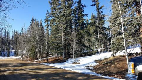47 Pathfinder Way, Como, CO 80432 photo 17