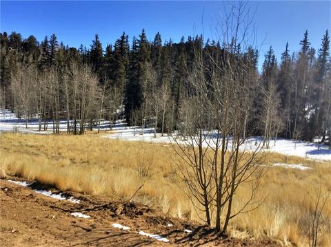 238 Spearpoint Rd, Como, CO 80432 photo 7
