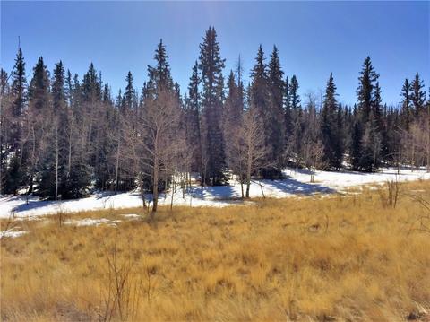 238 Spearpoint Rd, Como, CO 80432 photo 8