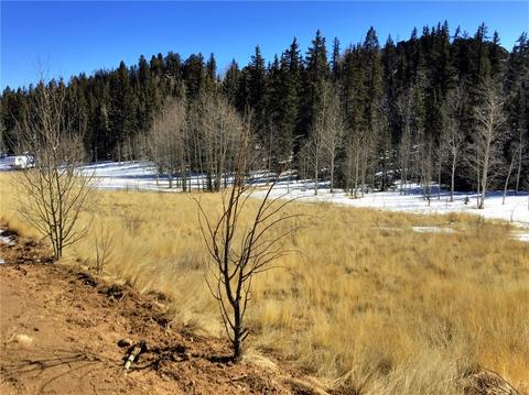 238 Spearpoint Rd, Como, CO 80432 photo 5