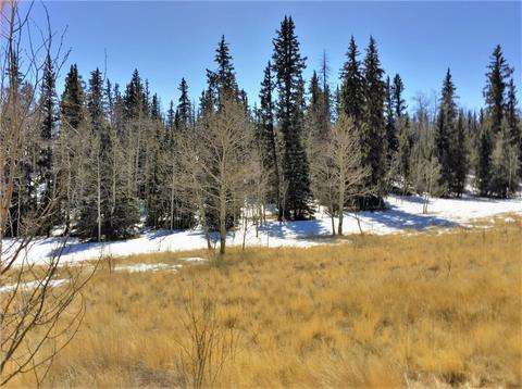 286 Spearpoint Rd, Como, CO 80432 photo 10