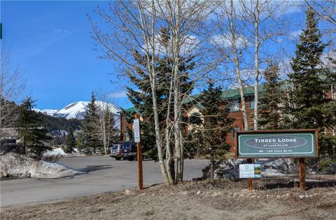 100 Cove Blvd #C, Dillon, CO 80435 photo 2