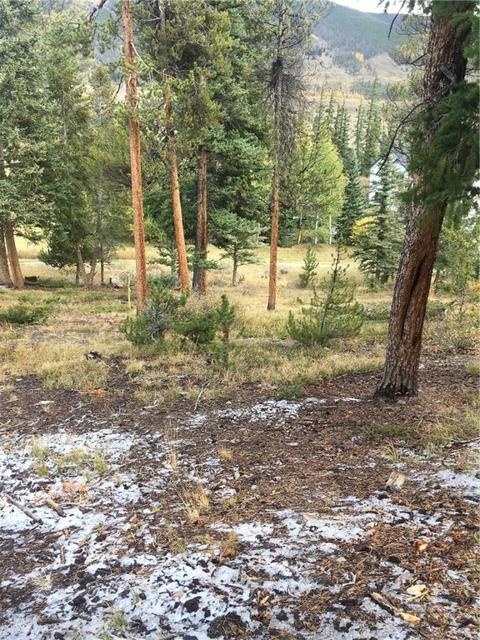 37 Sage Rd, Dillon, CO 80435 photo 7