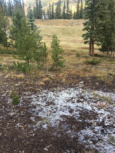 37 Sage Rd, Dillon, CO 80435 photo 6