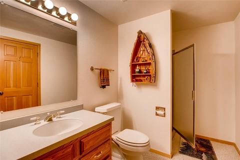 75 Snowberry Way, Dillon, CO 80435 photo 23