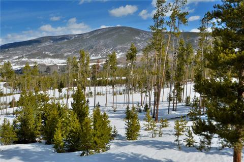 75 Snowberry Way, Dillon, CO 80435 photo 3