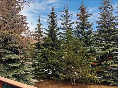 778 Deer Path Rd, Dillon, CO 80435 photo 5