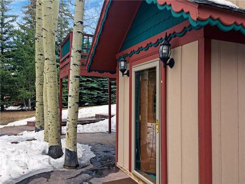778 Deer Path Rd, Dillon, CO 80435 photo 3