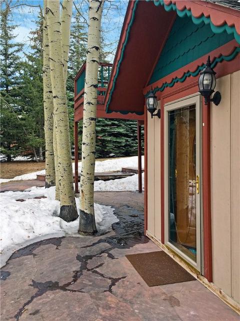 778 Deer Path Rd, Dillon, CO 80435 photo 2
