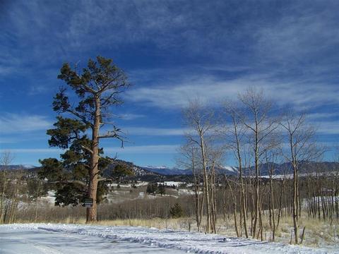 2413 Warrior Cir, Como, CO 80432 photo 3