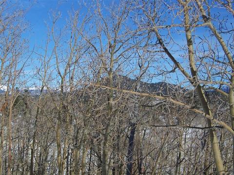 2413 Warrior Cir, Como, CO 80432 photo 4