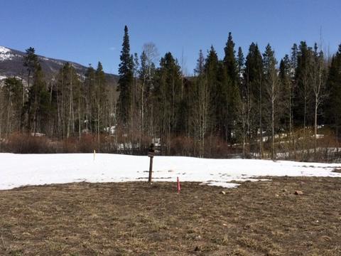 2120 Currant Way, Silverthorne, CO 80498 photo 1