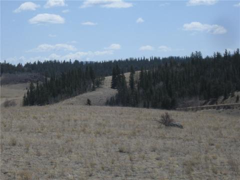 266 Anglo Ln, Como, CO 80432 photo 3