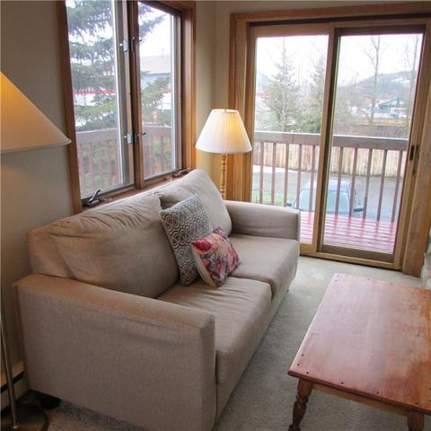 490 Brian Ave #D, Silverthorne, CO 80498 photo 9