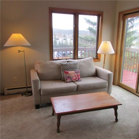 490 Brian Ave #D, Silverthorne, CO 80498 photo 6