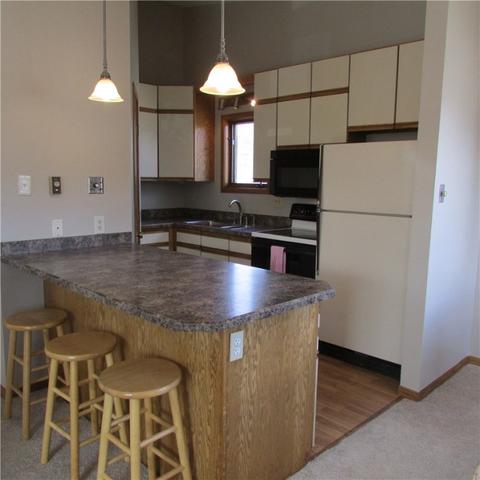 490 Brian Ave #D, Silverthorne, CO 80498 photo 4