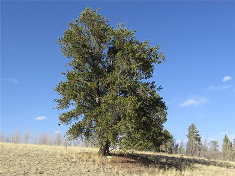 533 Kiowa St, Como, CO 80432 photo 10