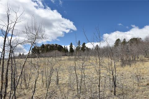 251 Ignacio Ct, Como, CO 80432 photo 11