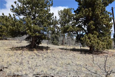 251 Ignacio Ct, Como, CO 80432 photo 10