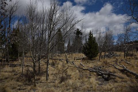 251 Ignacio Ct, Como, CO 80432 photo 9