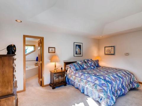 72 Saddle Cir, Silverthorne, CO 80498 photo 19