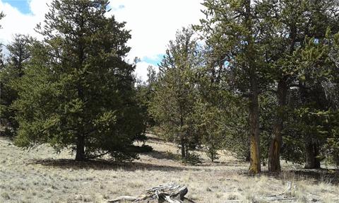 17 Flask Way, Como, CO 80432 photo 4