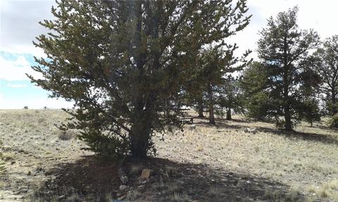 17 Flask Way, Como, CO 80432 photo 3