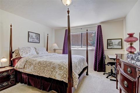 113 Vail Cir, Dillon, CO 80435 photo 18