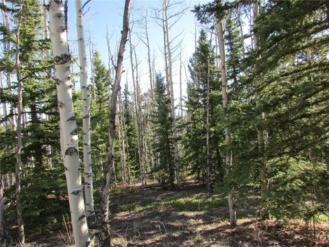 7002 Remington Rd, Como, CO 80432 photo 7