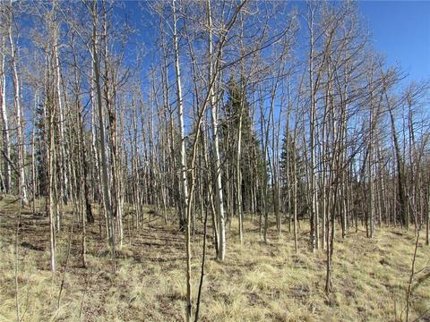 7002 Remington Rd, Como, CO 80432 photo 6