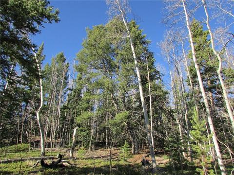 7002 Remington Rd, Como, CO 80432 photo 1