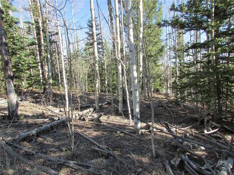 7002 Remington Rd, Como, CO 80432 photo 8