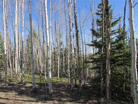 7002 Remington Rd, Como, CO 80432 photo 3