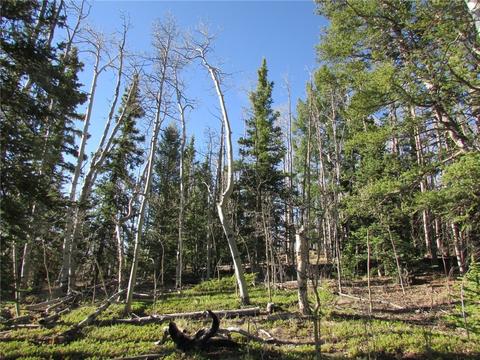7002 Remington Rd, Como, CO 80432 photo 2