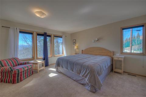 47 Springbeauty Dr, Silverthorne, CO 80498 photo 13