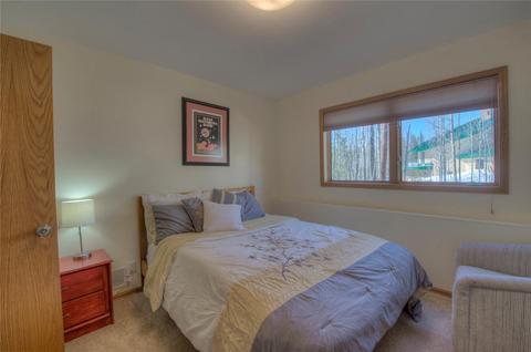 47 Springbeauty Dr, Silverthorne, CO 80498 photo 22