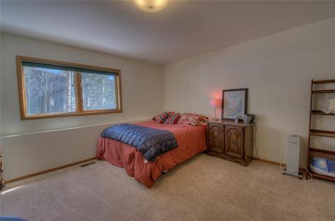 47 Springbeauty Dr, Silverthorne, CO 80498 photo 20