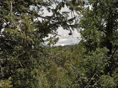 255 Starling Way, Como, CO 80432 photo 5