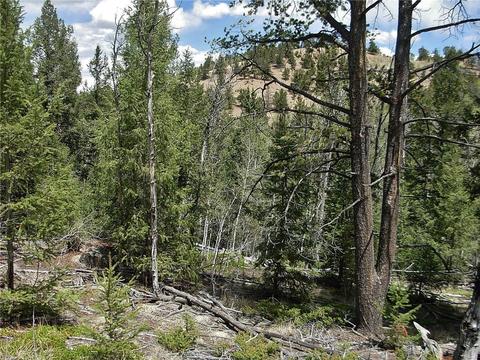 255 Starling Way, Como, CO 80432 photo 16