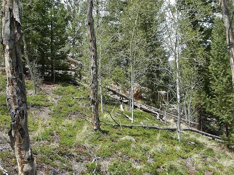 255 Starling Way, Como, CO 80432 photo 20